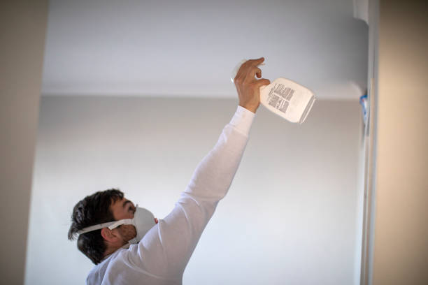Best Local Mold Removal Service  in Augusta, ME