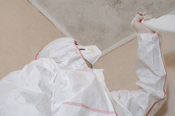 Best Crawl Space Mold Removal  in Augusta, ME